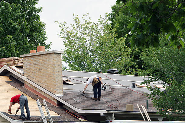 Best Roof Gutter Cleaning  in Victoria, VA
